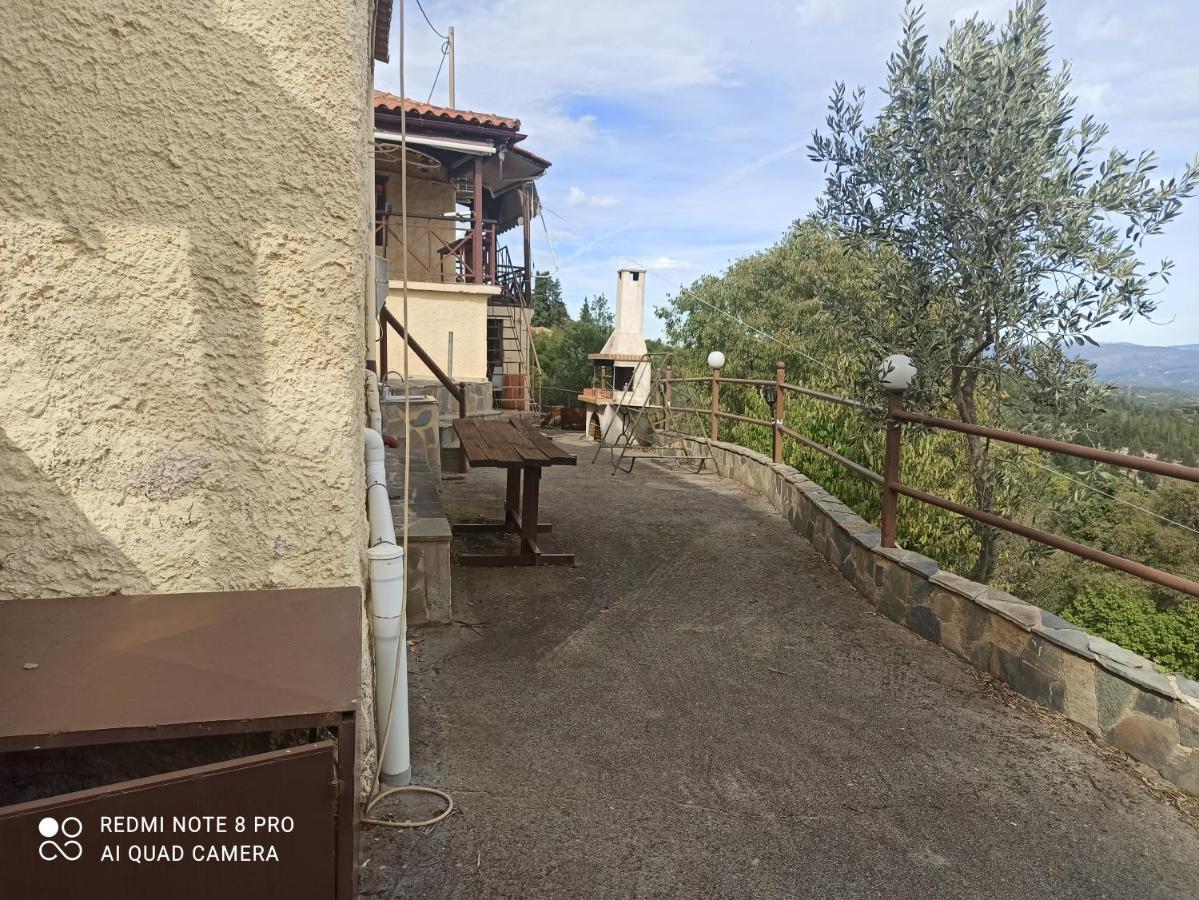 Forestrock Studio For Sale Too Sparta Exterior foto