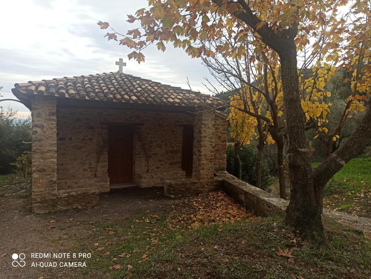 Forestrock Studio For Sale Too Sparta Exterior foto