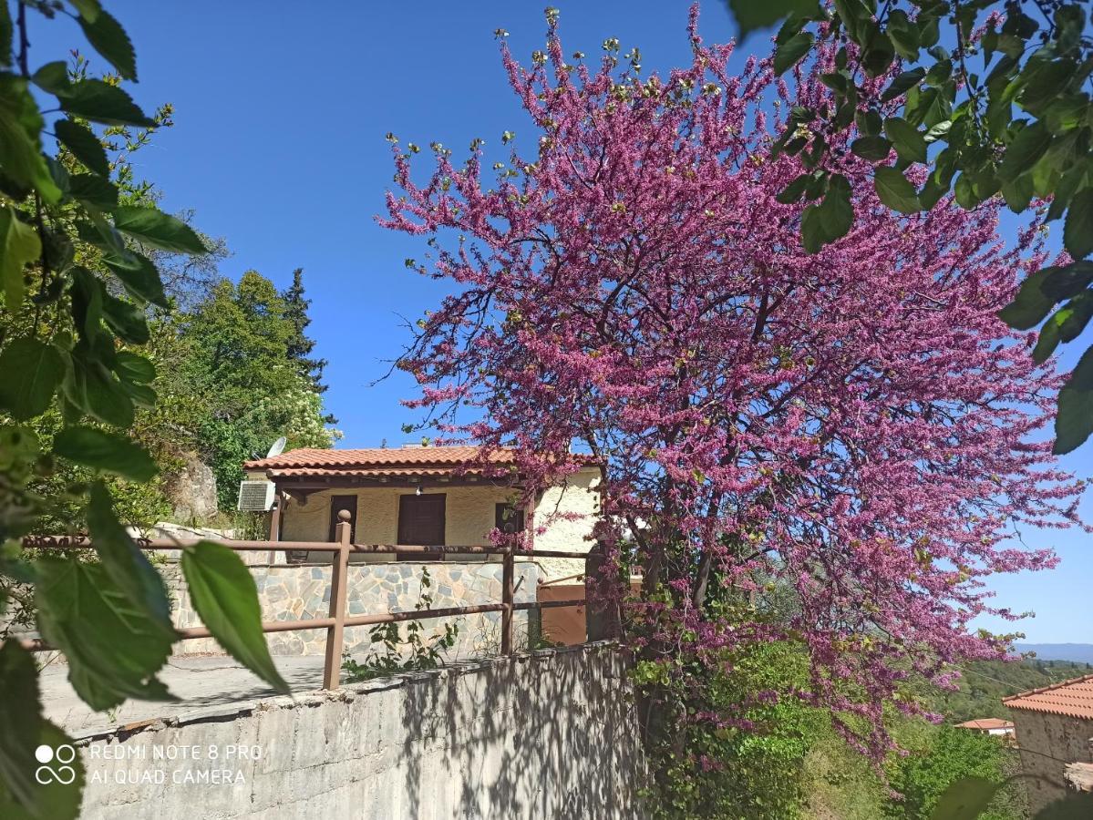 Forestrock Studio For Sale Too Sparta Exterior foto