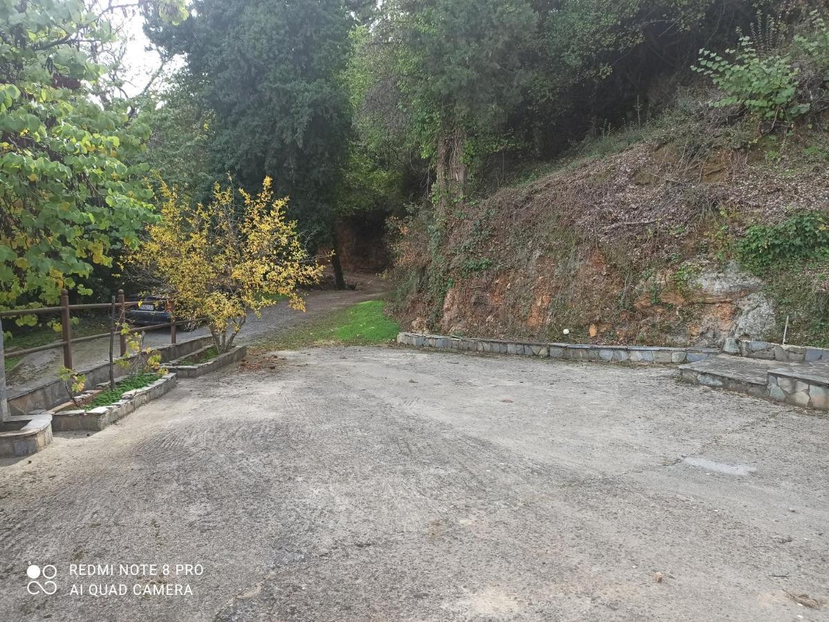 Forestrock Studio For Sale Too Sparta Exterior foto